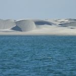 Duna en Baja California