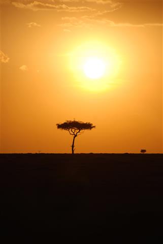 Puesta de sol en Kenia