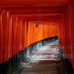 Puertas Torii de Kyoto