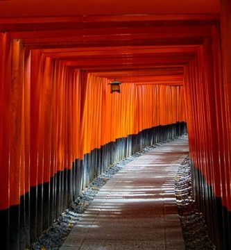 Puertas Torii de Kyoto