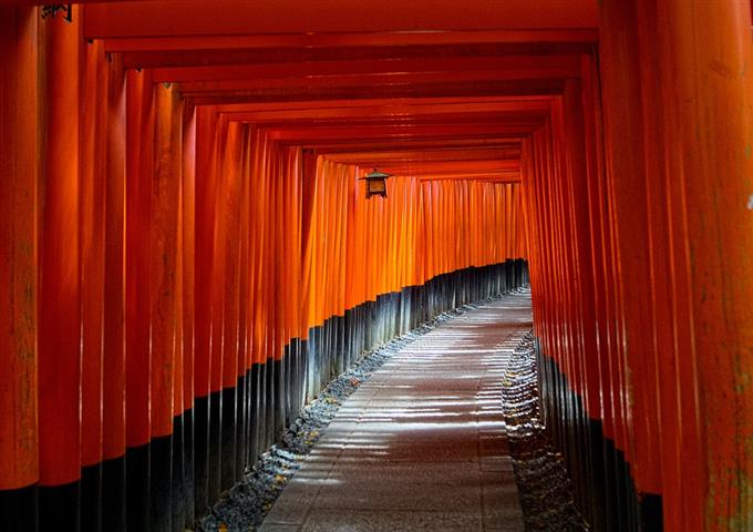 Puertas Torii de Kyoto