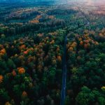 Imagen dron selva Negra Alemana