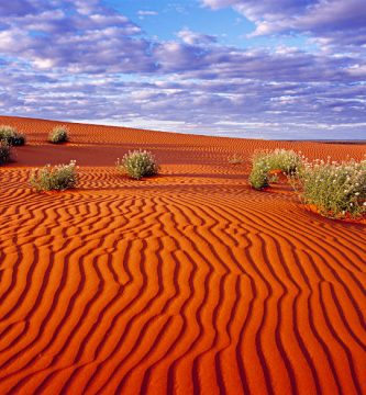 Imagen dunas desierto Simpson