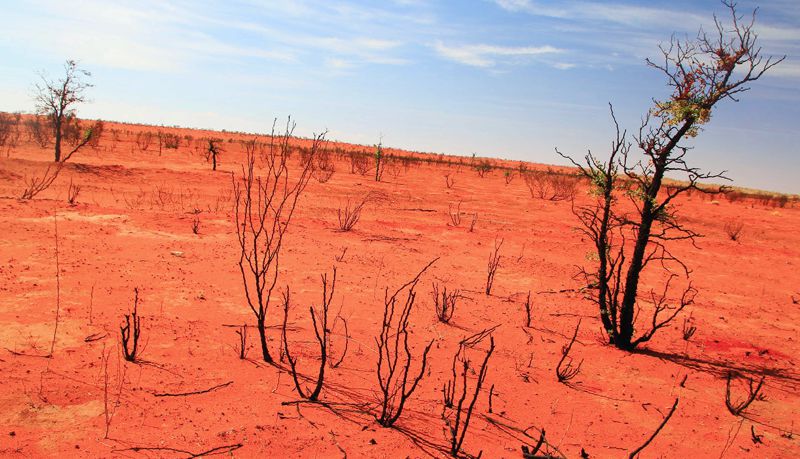 Tierras áridas en desierto Simpson Australia