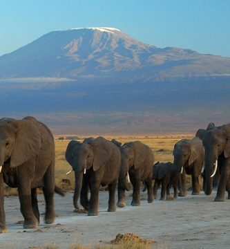 Parque Nacional Amboseli Elefantes