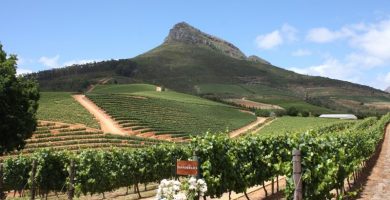 Viñedos en la ruta del vino de Ciudad del Cabo